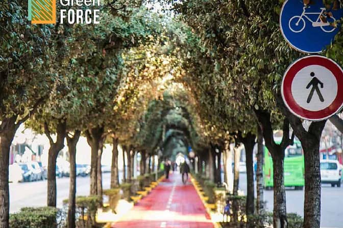 Governance Challenges in the Green Transition: Insights from the Western Balkans